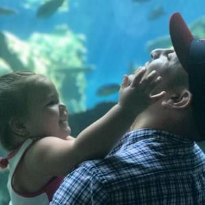 Meet your Posher, Jose